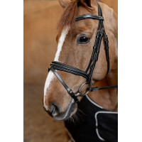 Briglia Combinata Imbottita HFI Master Nero