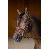 Briglia Combinata Imbottita HFI Master Marrone