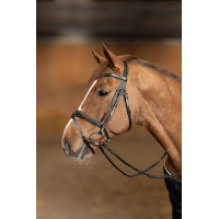 Briglia Combinata Wavy HFI Master Nero