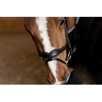 Briglia Combinata Wavy HFI Master Nero