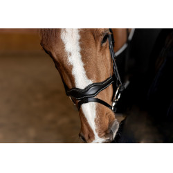 Briglia Combinata Wavy HFI Master Nero