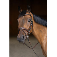 Briglia Combinata Wavy HFI Master Nero Briglia Combinata Wavy HFI Master Nero