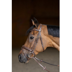 Briglia Combinata Wavy HFI Master Marrone