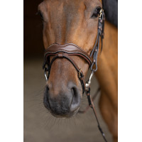 Briglia Combinata Wavy HFI Master Nero Briglia Combinata Wavy HFI Master Nero