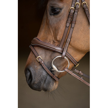 Briglia Combinata Wavy HFI Master Marrone