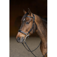Hackamore HFI Master Bridone Nero