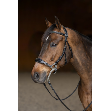 Hackamore HFI Master Bridone Hackamore HFI Master Bridone