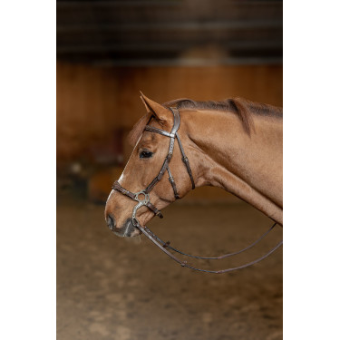 Hackamore HFI Master Bridone
