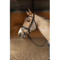 Bridon HFI Master pull-back Edges Nero