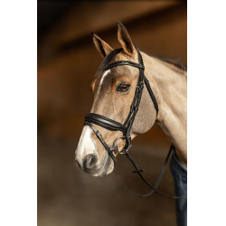 Bridon HFI Master pull-back Edges Nero