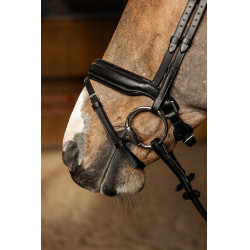 Bridon HFI Master pull-back Edges Nero