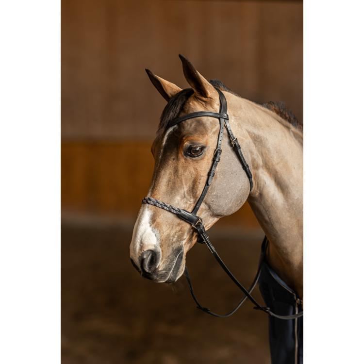 Briglia senza morso Freedom HFI Master