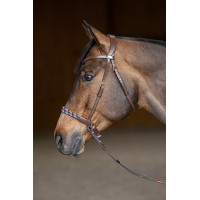 Briglia senza morso Freedom HFI Master Marrone