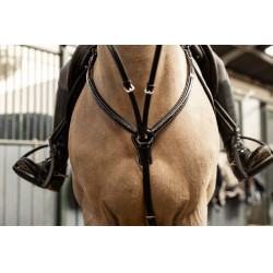 Pettorale Arezzo HFI Master Pro Line