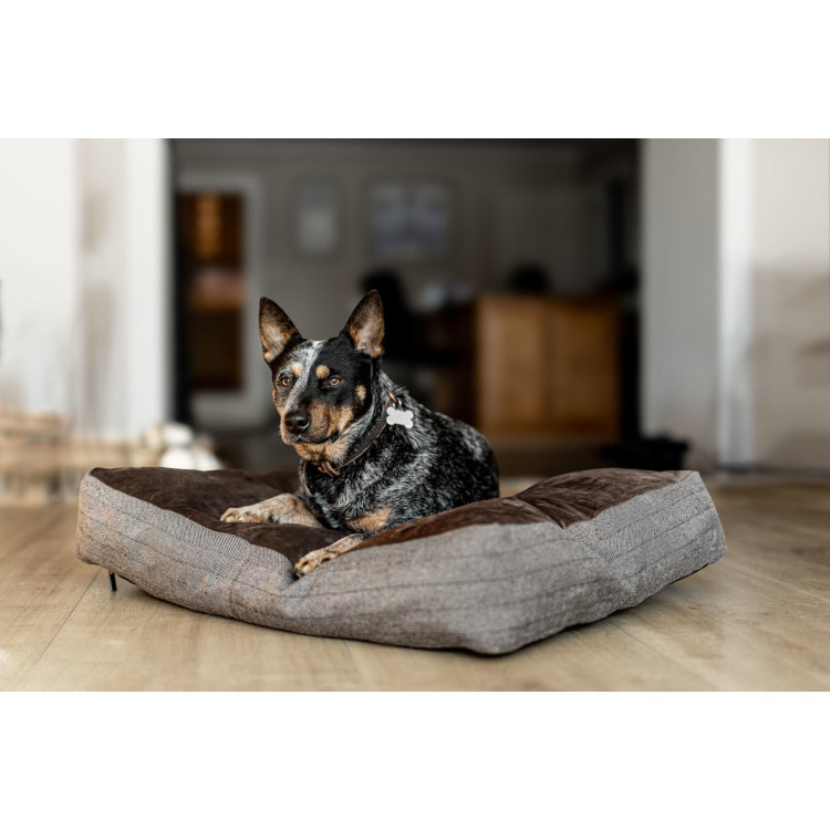 Cuscino rettangolare per cane HFI
