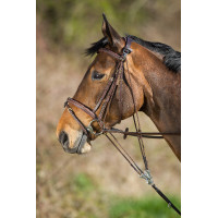 Gogue in cuoio HFI Master Nero