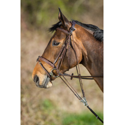 Gogue in cuoio HFI Master Marrone Gogue in cuoio HFI Master Marrone