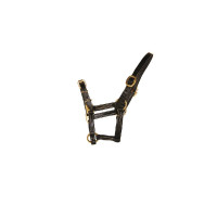 Capezzina in cuoio HFI Master Nero