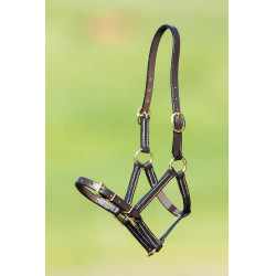 Capezzina in cuoio HFI Master Marrone