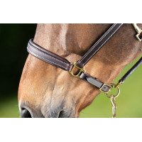 Capestro in cuoio HFI Master cuciture crema Marrone
