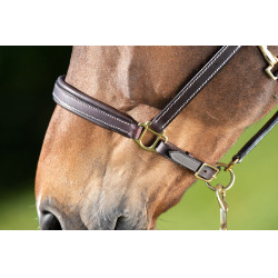 Capestro in cuoio HFI Master cuciture crema Marrone
