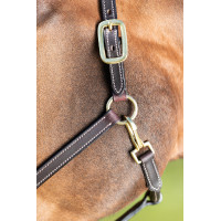 Capestro in cuoio HFI Master cuciture crema Marrone