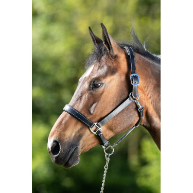 Capezza in cuoio HFI Master cuoio a doppia regolazione Nero