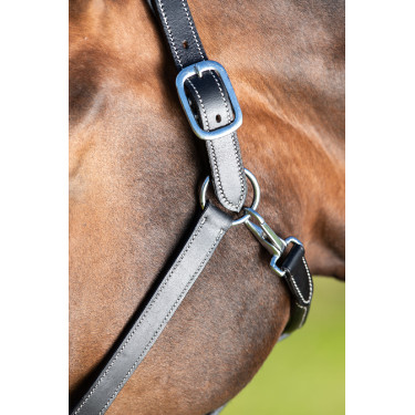 Capezza in cuoio HFI Master cuoio a doppia regolazione Nero