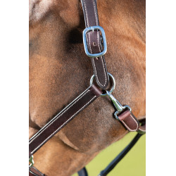 Capezza in cuoio HFI Master cuoio a doppia regolazione Marrone