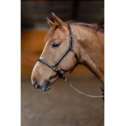 Capezzina in cuoio Little Groom HFI Master