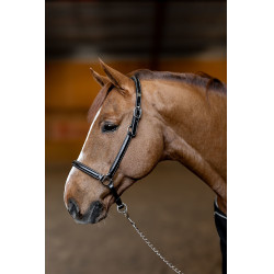 Capezzina in cuoio Little Groom HFI Master Capezzina in cuoio Little Groom HFI Master