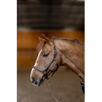 Capezzina in cuoio Little Groom HFI Master Marrone