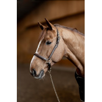 Capezzina in cuoio Little Groom HFI Master Marrone