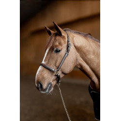 Capezzina in cuoio Little Groom HFI Master Marrone Capezzina in cuoio Little Groom HFI Master Marrone