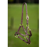 Capestro in cuoio morbido HFI Master Marrone