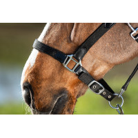 Neoprenhalfter Smart + Nylonführstrick HFI Master Nero / nero Neoprenhalfter Smart + Nylonführstrick HFI Master Nero / nero