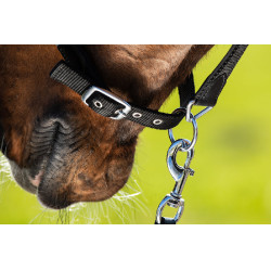 Neoprenhalfter Smart + Nylonführstrick HFI Master Nero / nero