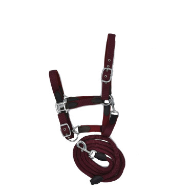 Neoprenhalfter Smart + Nylonführstrick HFI Master Bordeaux / marrone