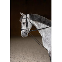 Redini tedesche HFI Master...