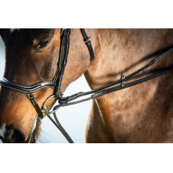 Deutsche Zügel Leder + Seil HFI Master Nero