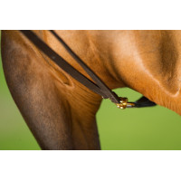 Redini tedesche in cuoio HFI Master Marrone