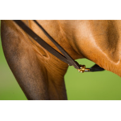 Redini tedesche in cuoio HFI Master Marrone