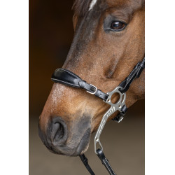 Set Museruola Gourmette Hackamore HFI Master Set Museruola Gourmette Hackamore HFI Master