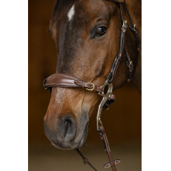 Set Museruola Gourmette Hackamore HFI Master Set Museruola Gourmette Hackamore HFI Master