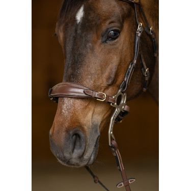 Set Museruola Gourmette Hackamore HFI Master Set Museruola Gourmette Hackamore HFI Master