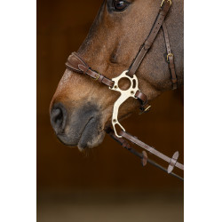 Set Museruola Gourmette Hackamore HFI Master Set Museruola Gourmette Hackamore HFI Master