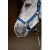 Capestro in nylon HFI Master Marina Blu marino Capestro in nylon HFI Master Marina Blu marino