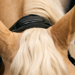 Halster Imperial Riding Hera Nero