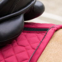 Sottosella Euro-Star Cato GP Sambuco Marrone Sottosella Euro-Star Cato GP Sambuco Marrone