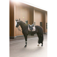 Cuffia anti-mosche Imperial Riding Lovely Bianco